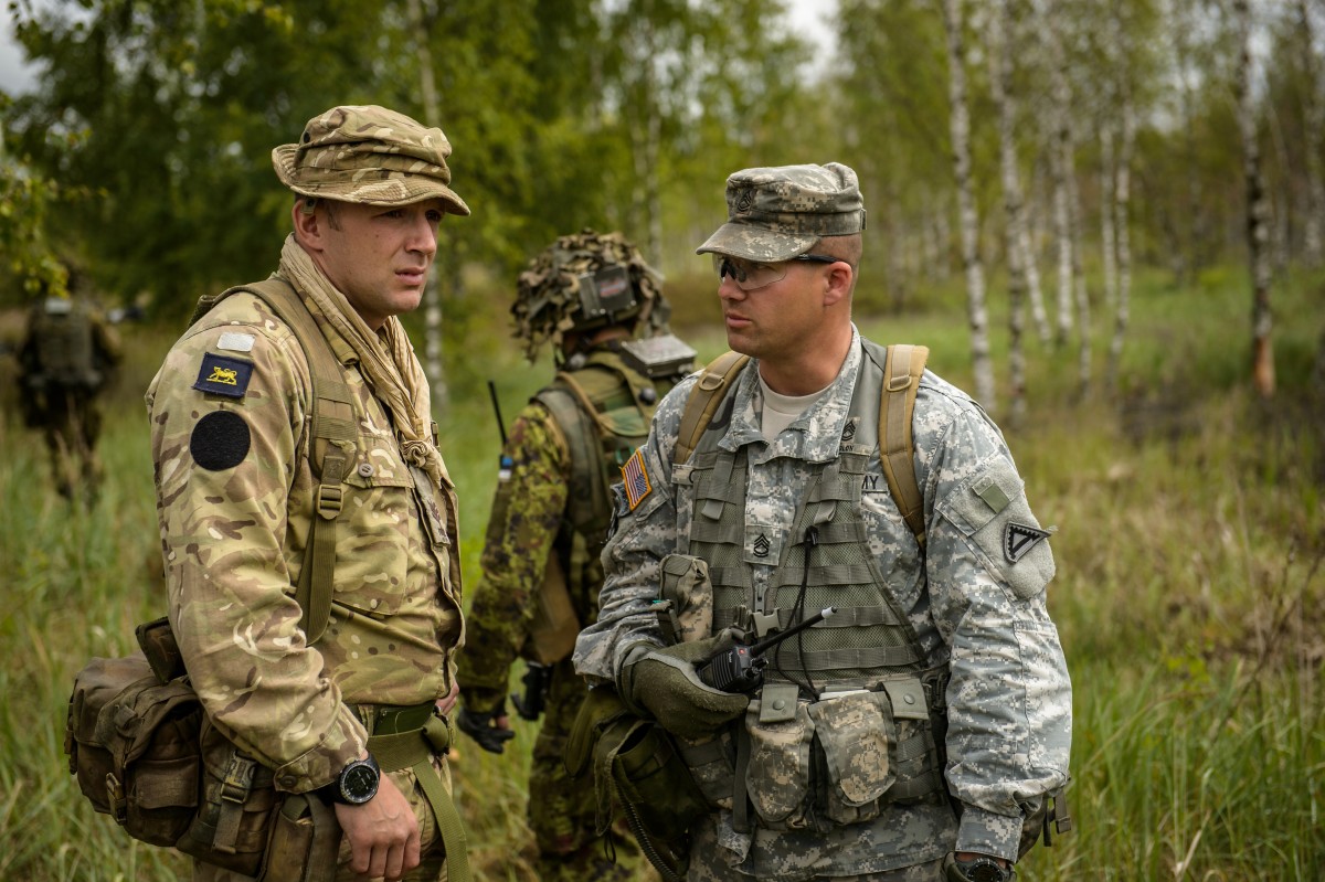 Exercise Saber Strike 15 demonstrates international cooperation ...