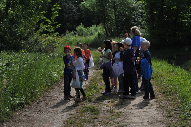 NES second-graders hear a woodpecker during a Volksmarch