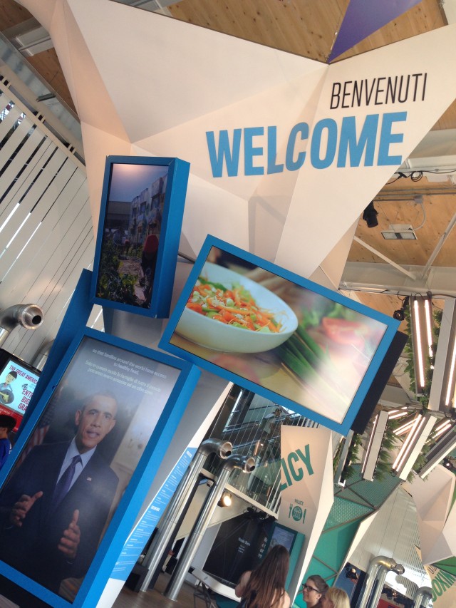 Garrison Commander supports U.S. efforts at Milan Expo 2015