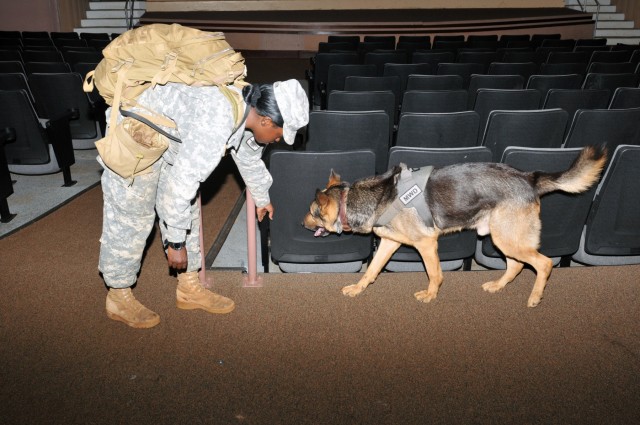 8th MP's MWD teams earn certification, enhance readiness