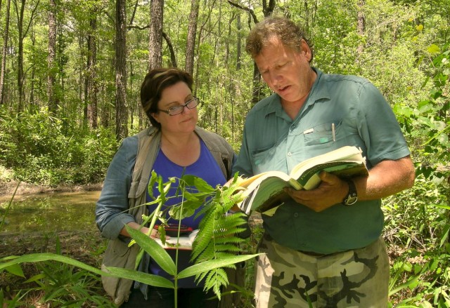 Wetland Plants