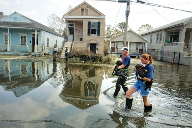 FEMA suggests pet protection tips