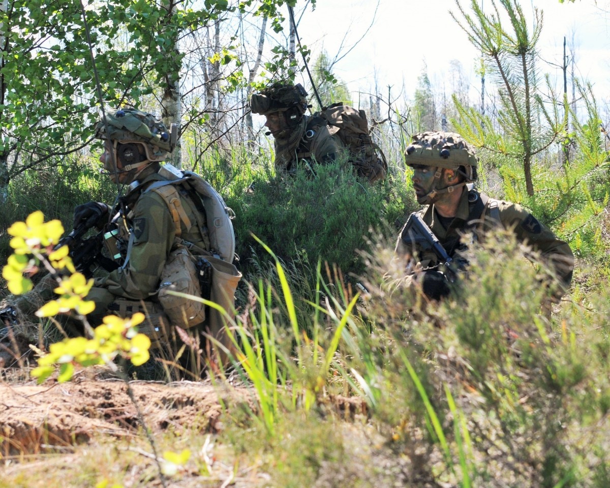 Saber Strike 2015 multinational FTX in full swing | Article | The ...