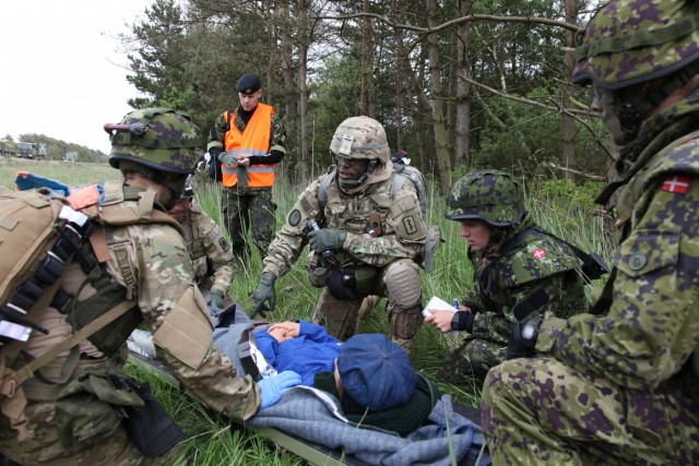 U.S., Danish Soldiers build interoperability during Brave Lion 15