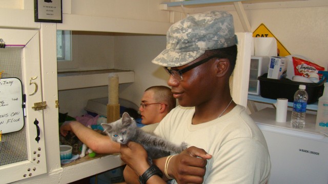 USAEPG NCOs and MI School AIT Students volunteer at Tombstone Animal Shelter