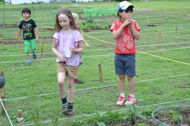 Community garden brings residents together 