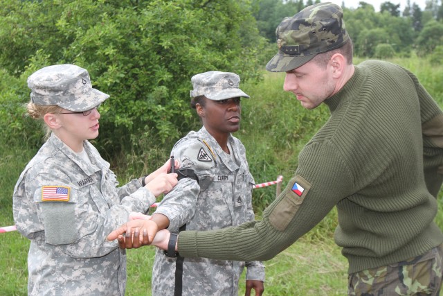 International cooperation