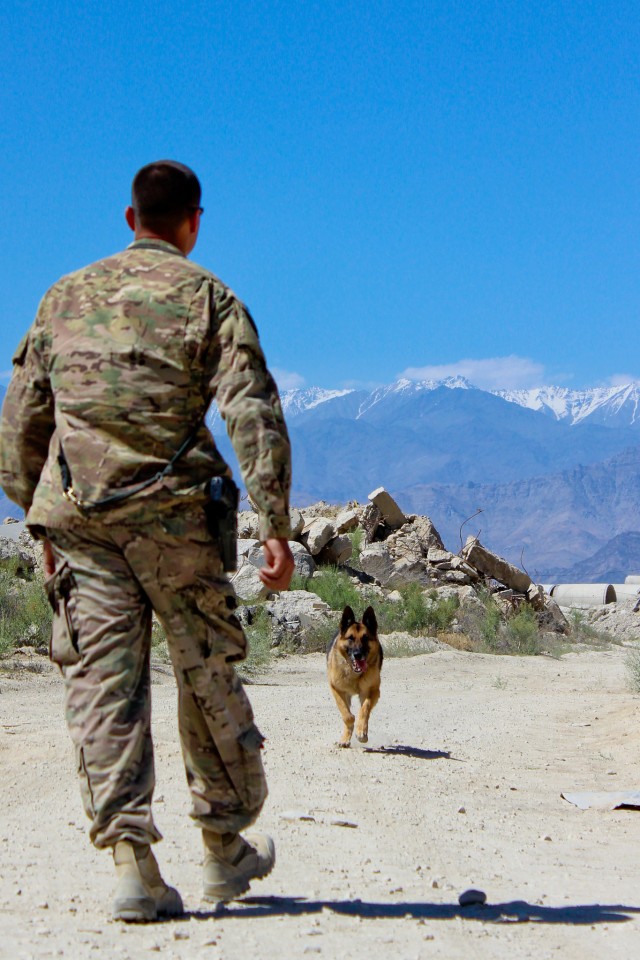 Military working dog handlers: 'It's the best job ever'