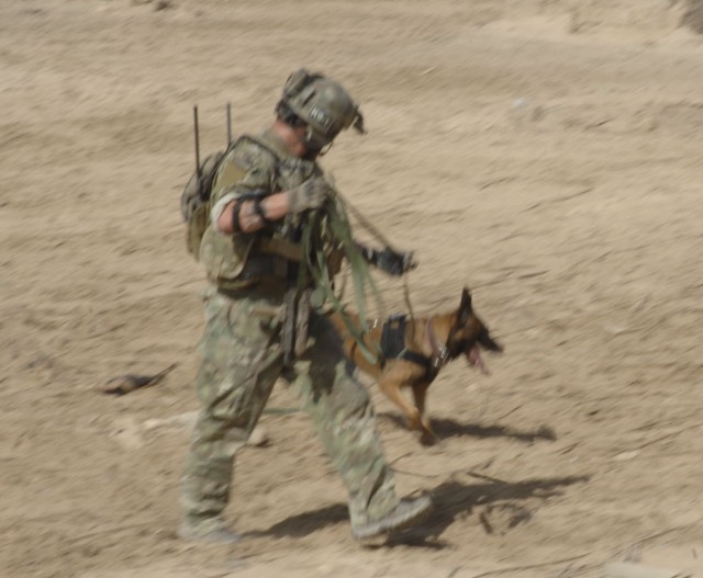 Soldier, combat dog share PTSD diagnosis, road to recovery