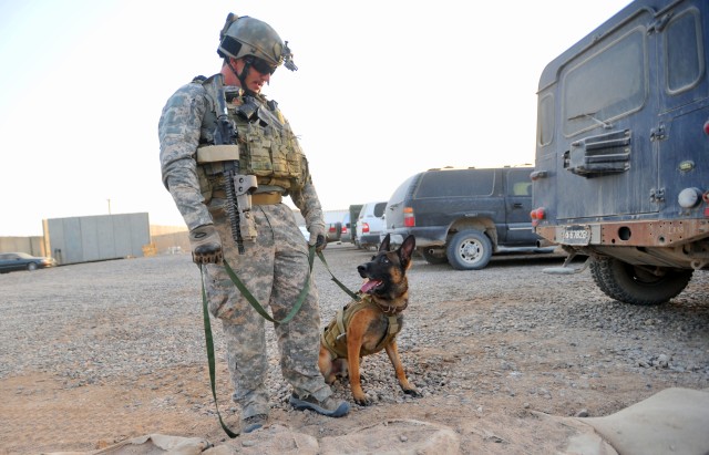 Soldier, combat dog share PTSD diagnosis, road to recovery