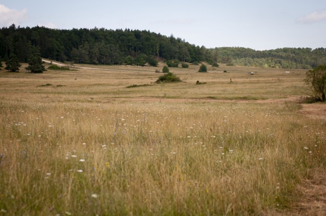 Hohenfels revitalizes drop zone for NATO airborne training