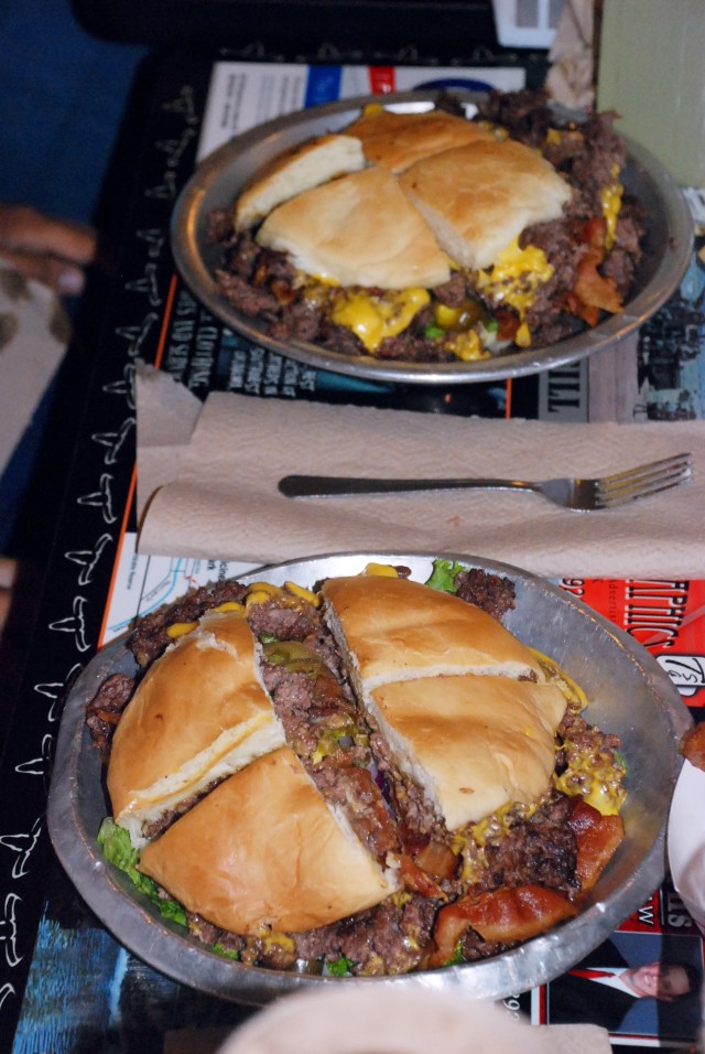 Seismic burgers