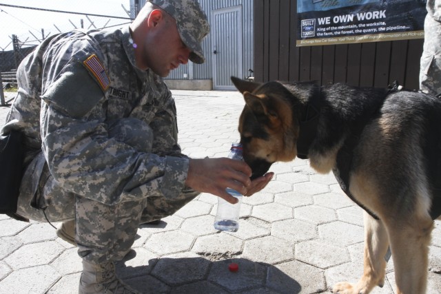 Camp Bondsteel MPs and military working dogs simulate active-shooter response