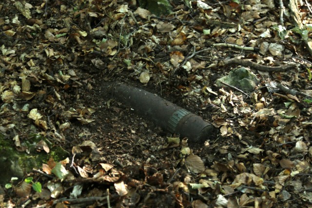 Found ordinance to be destroyed