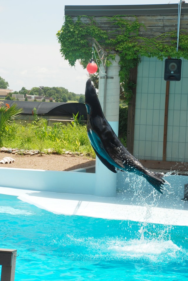 Noble Aquatic Center