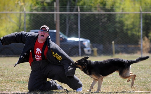 Working dog competition tests skills, builds camaraderie