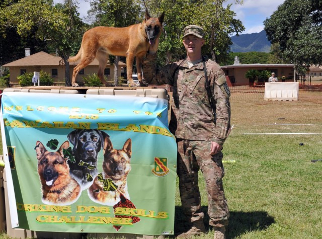 Working dog competition tests skills, builds camaraderie