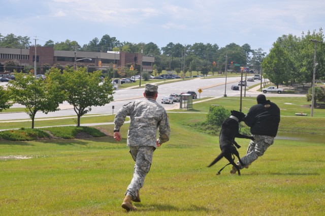 K-9 Demonstration