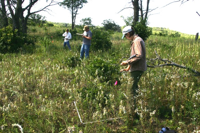 Vegetation survey