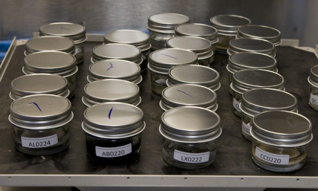 Coupons and latex dental dam in jars filled with solvent