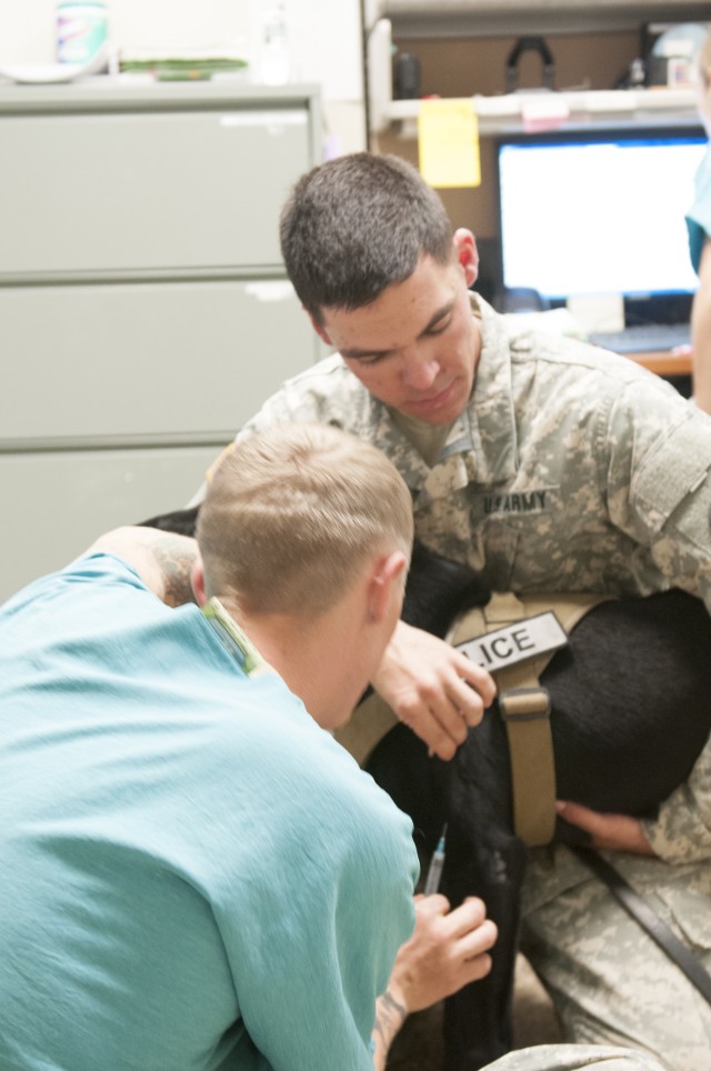 Fort Carson Veterinary Center earns accreditation
