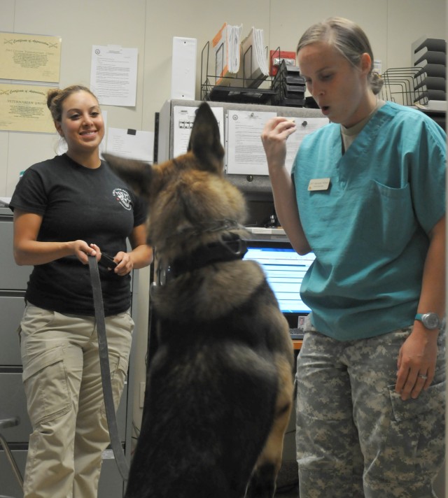 Fort Carson Veterinary Center earns accreditation