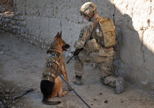 SNIFFING OUT IEDS