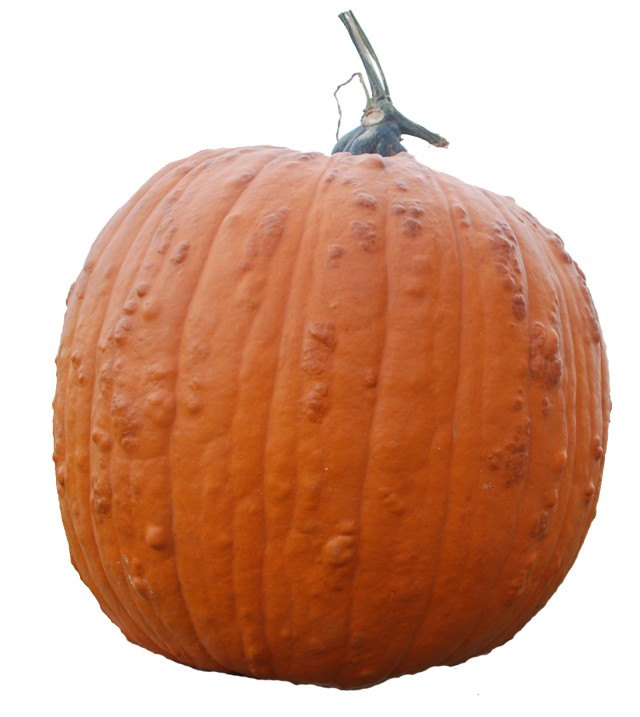 Pumped-kin