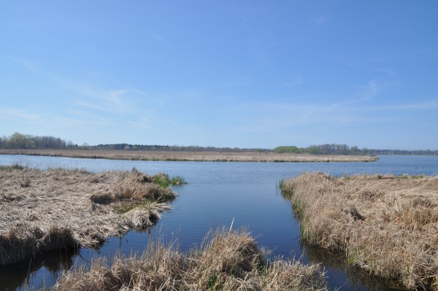 USACE awards $7.994 million contract for construction at Braddock Bay