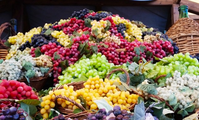 Milan Expo 2015 Grapes