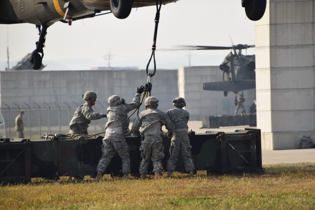 Air Defenders get 'lift' from Aviators during sling load training
