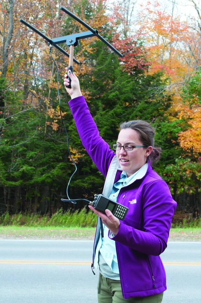 Wildlife study at Fort Drum