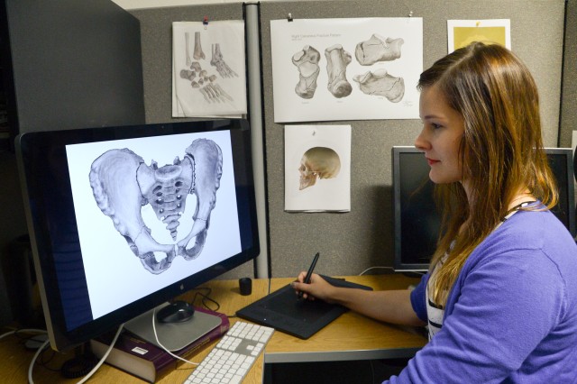 Army illustrator helps researchers