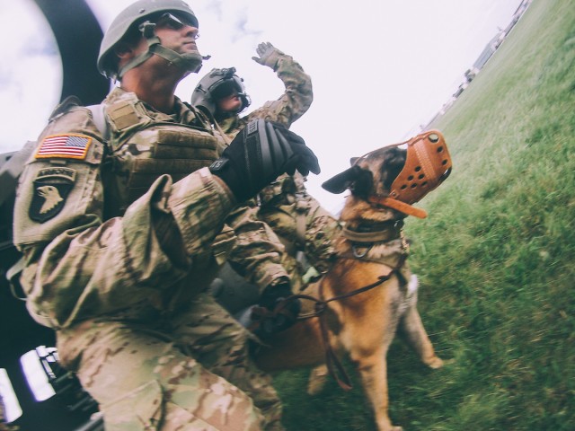 Military Working Dog teams train for Medical Evacuations