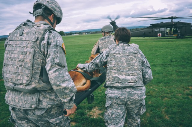 Military Working Dog teams train for Medical Evacuations