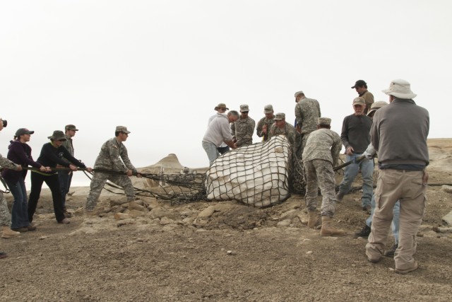 New Mexico National Guard airlifts dinosaur fossils