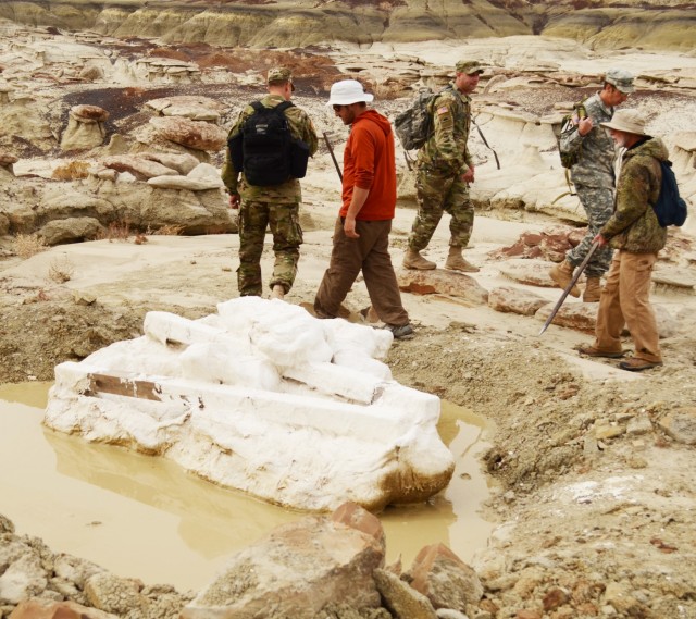 New Mexico National Guard airlifts dinosaur fossils