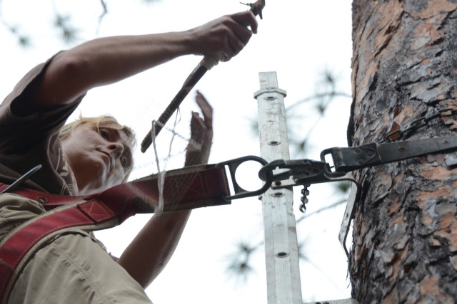 Fort Jackson biologist prepares man-made tree cavity for endangered woodpecker