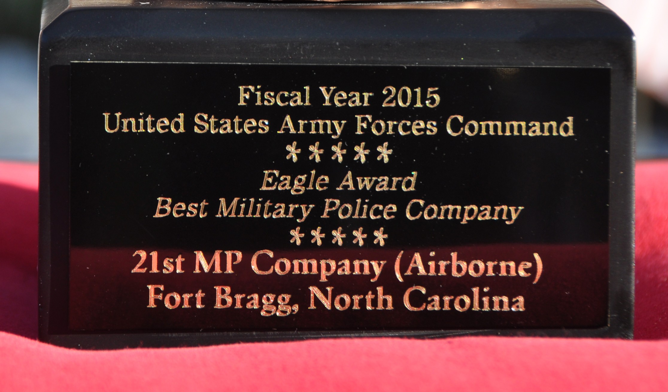 'First from Above' named FORSCOM's top military police company ...