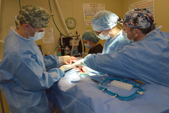 Veterinarian interns advance skills at Fort Carson