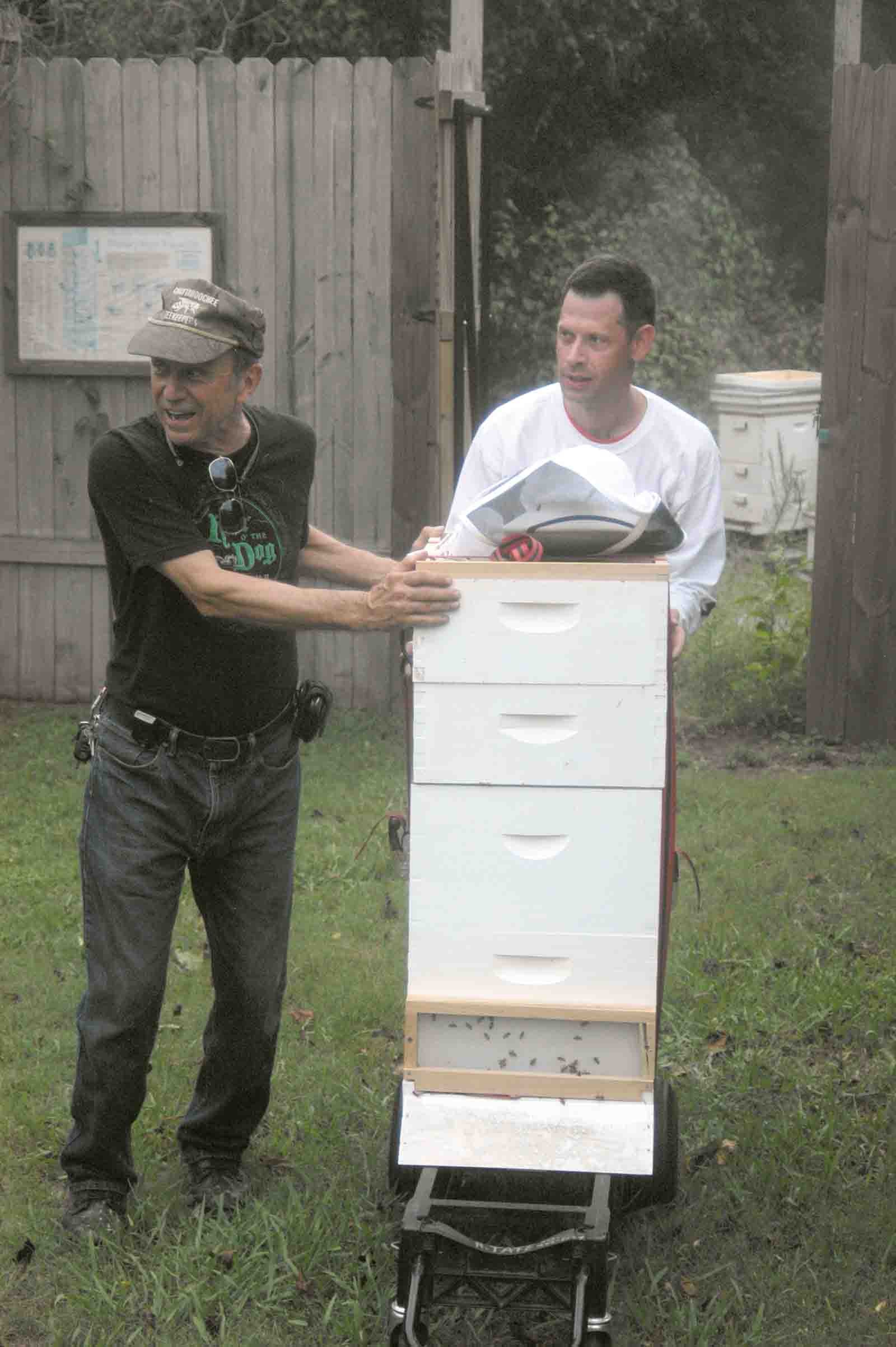 Wounded Warrior needed for beekeeping responsibility | Article | The ...