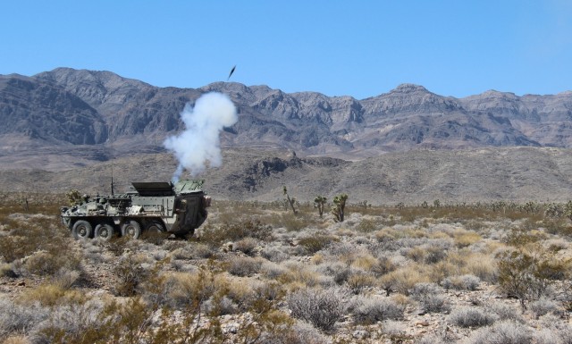 'Brave Rifles' conduct live fire training with airmen
