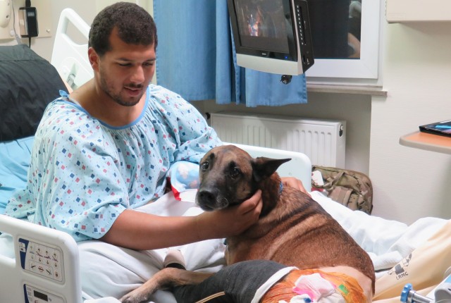 Dog Center Europe treats canine casualty