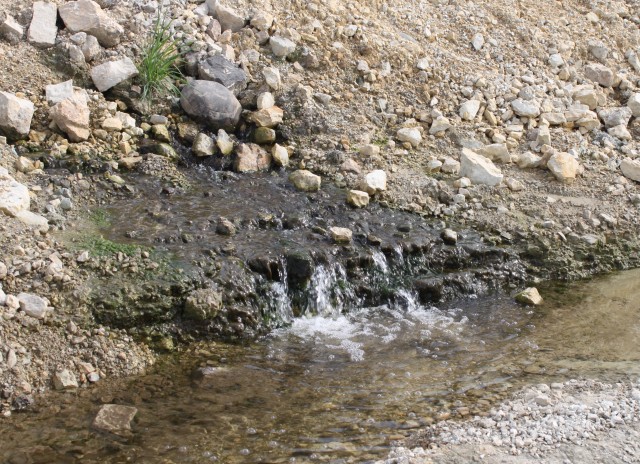Water seeping through the embankment of the forebay wall at Lockport Lock and Dam