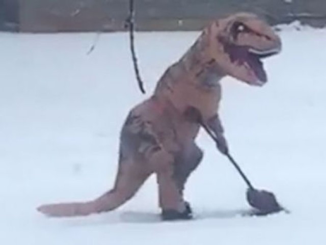 Strike snow-shoveling dinosaur gains national attention 