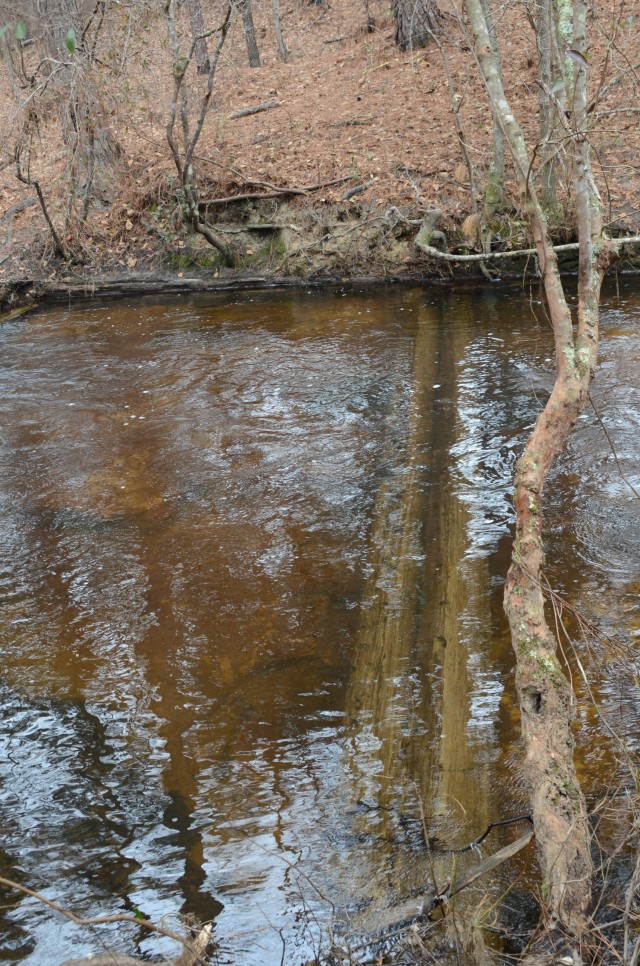 At the mill site