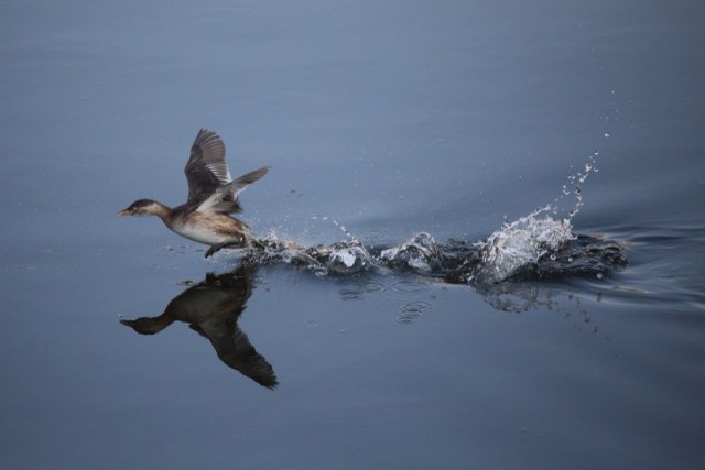 Take Off