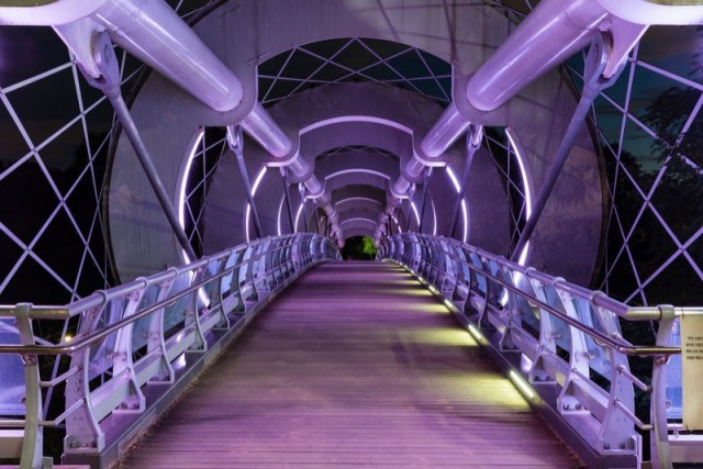 Silk Worm Bridge