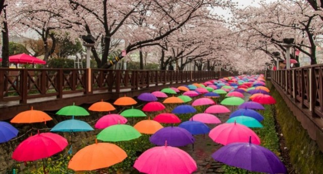 Umbrellas
