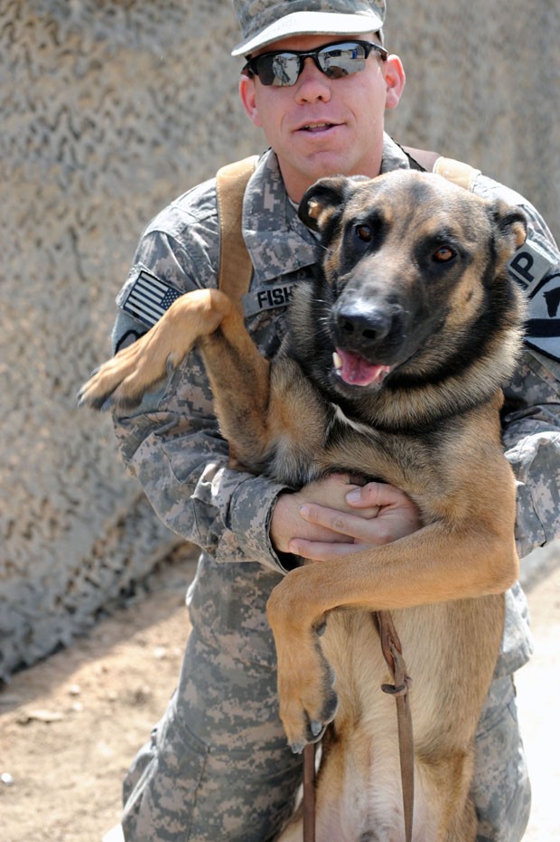 HOW TO ADOPT A MILITARY WORKING DOG | Article | The United States Army